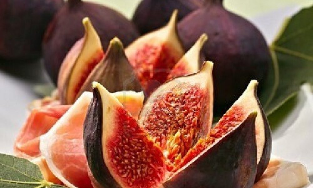 برگزاری جشنواره سمنان شهری با محوریت جشن انجیر