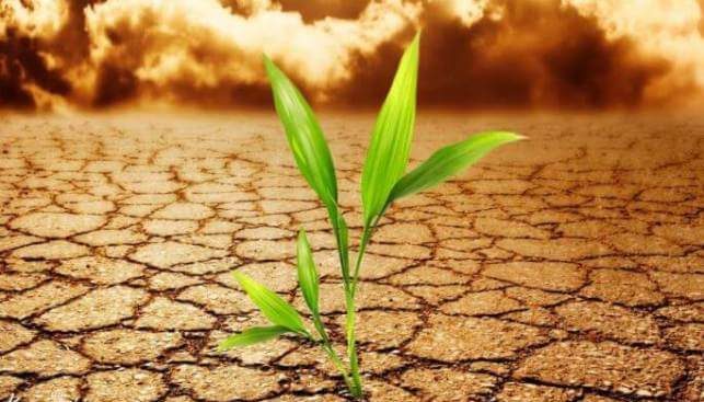 کسب مقام اول کشوری در بیابان زدایی