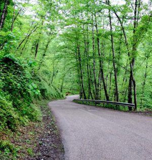 تور جنگل و سد شیاده بابل