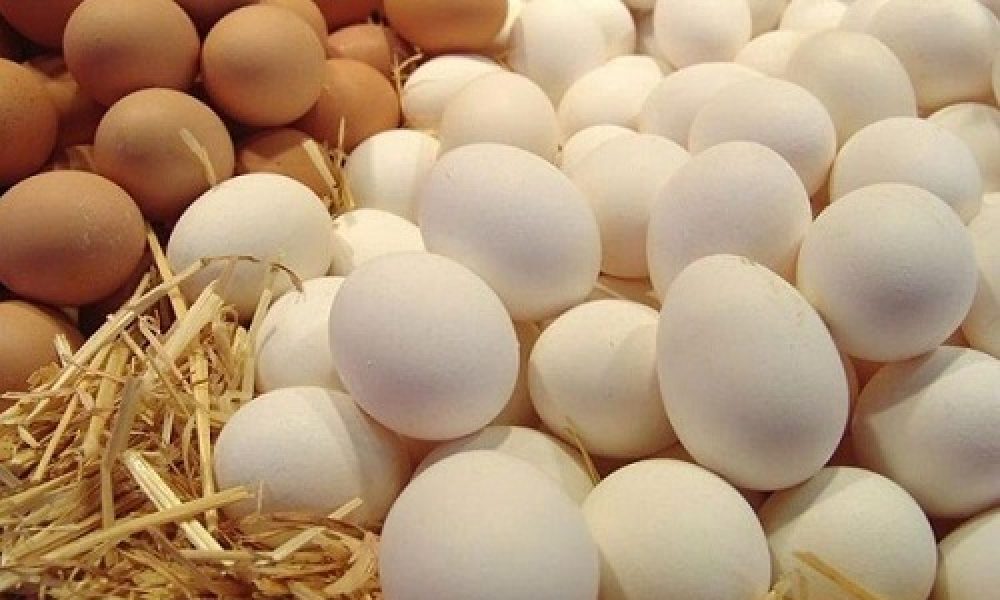 صادرات فرآورده‌های دامپزشکی سمنان ۷۳.۵ میلیون دلار ارزآوری داشت