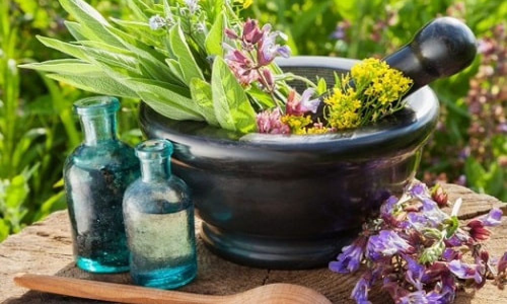 افتتاح سلامتکده طب ایرانی و درمانگاه طب سالمندی در سمنان