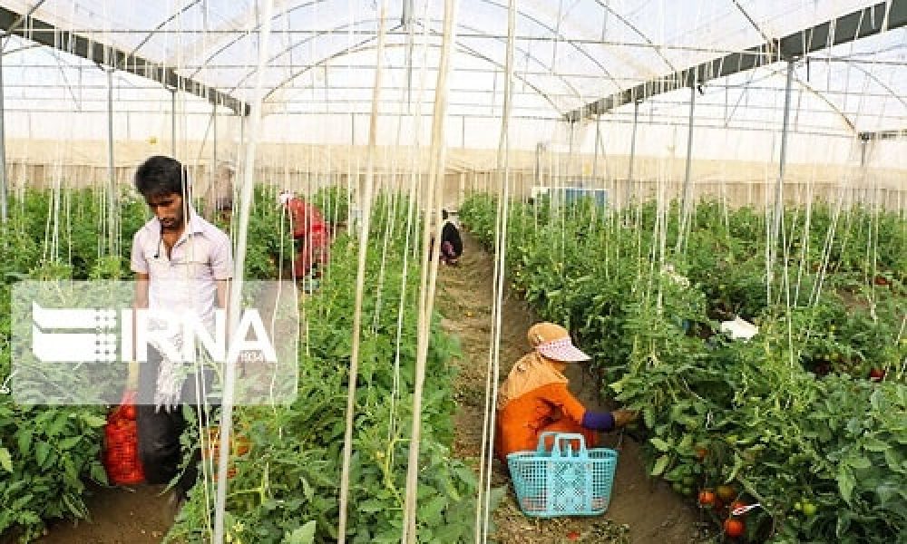 طرح‌های اشتغال‌آفرین جمعیت را به روستاهای سمنان بازگرداند