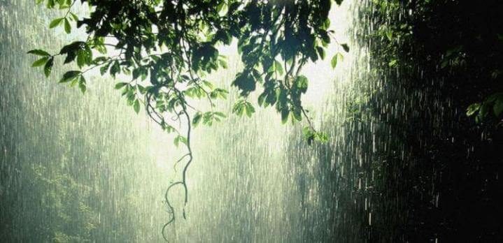 باران مهمان استان سمنان