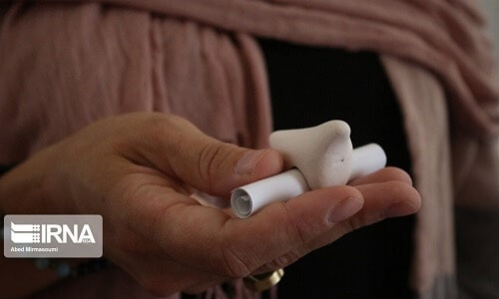 سفیر اتریش پرنده صلح ایران را بازگرداند