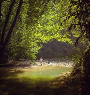 تور پلنگ دره