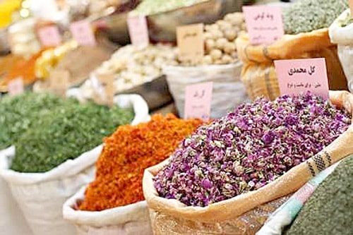 کشت ۱۲۶ گونه گیاه دارویی در سمنان