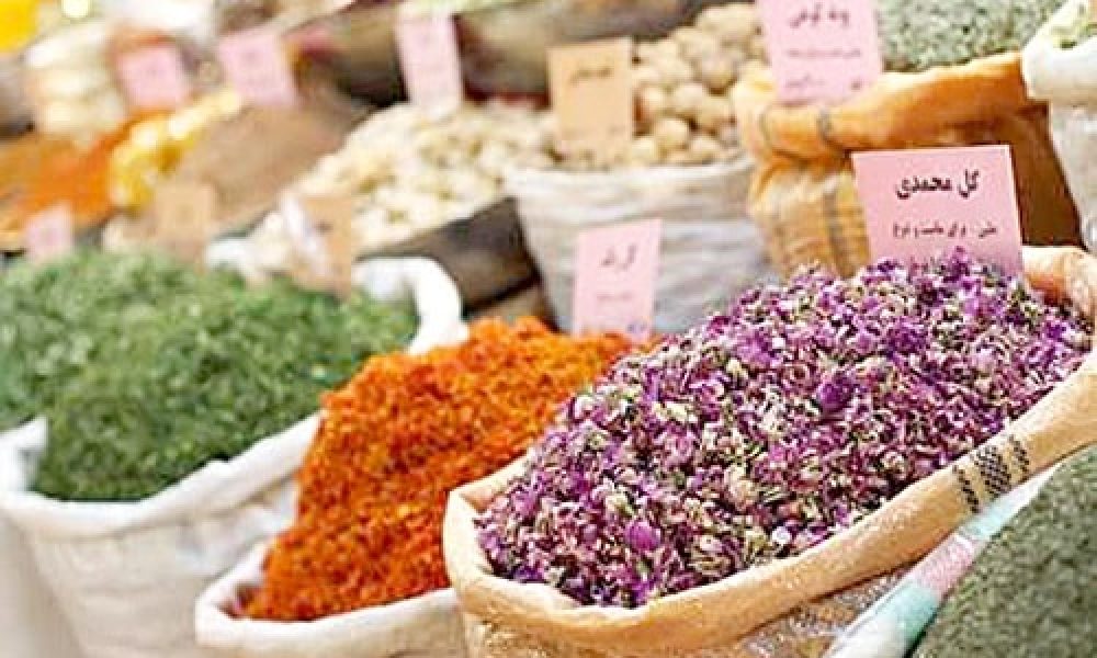 کشت ۱۲۶ گونه گیاه دارویی در سمنان