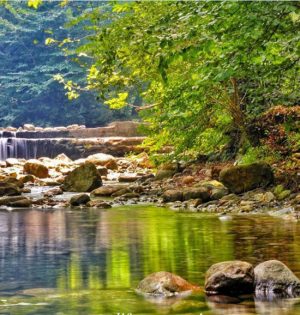 تور گرگین آباد