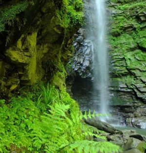 تور بازدید از آبشار گزو