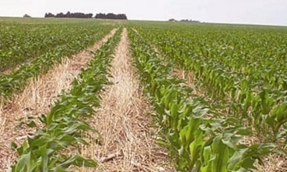 ۵۰۷ هکتار اراضی به کشاورزان استان سمنان بازگردانده شد