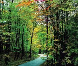 تور گلستان گردی