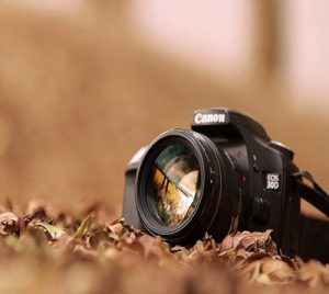 نمایشگاه گروهی عکس “دهدید”