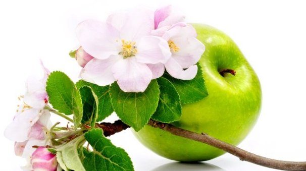 سرمایه گذاری چینی‌ها در حوزه سلامت استان سمنان