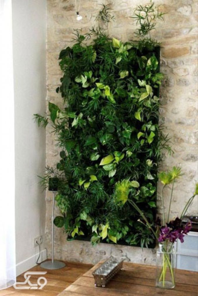 دیوار سبز زیبا و شیک