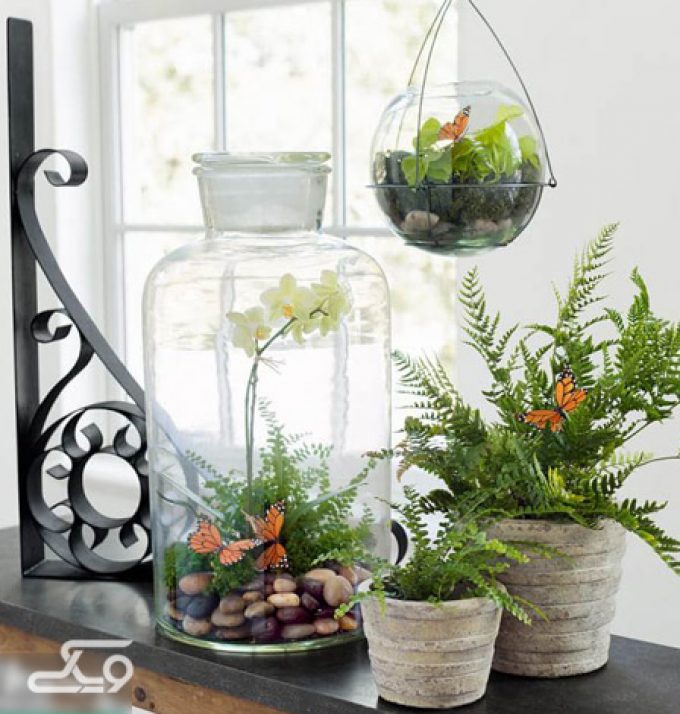 خانه گل نارسیس