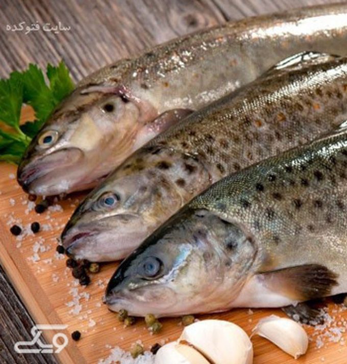 ماهی تازه در فروشگاه پرولندسمنان