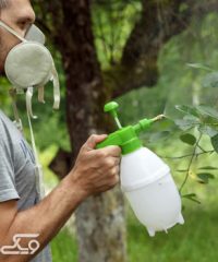 سمپاشی آدینه سمنان