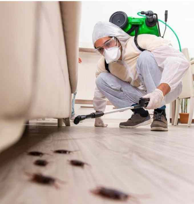 سمپاشی برتر سمنان