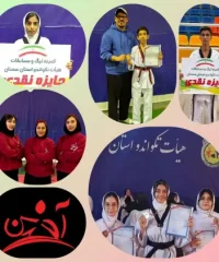 آموزشگاه هنر رزمی تکواندو