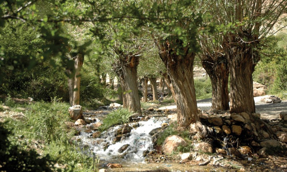 دیدنی چهار