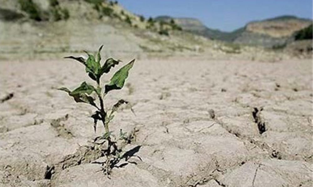 ۱۳ دشت سمنان به دلیل کاهش افت آبهای زیرزمینی در شرایط فرابحرانی قراردارد