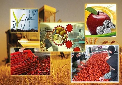 صدور مجوزهای تاسیس صنایع تبدیلی در سمنان