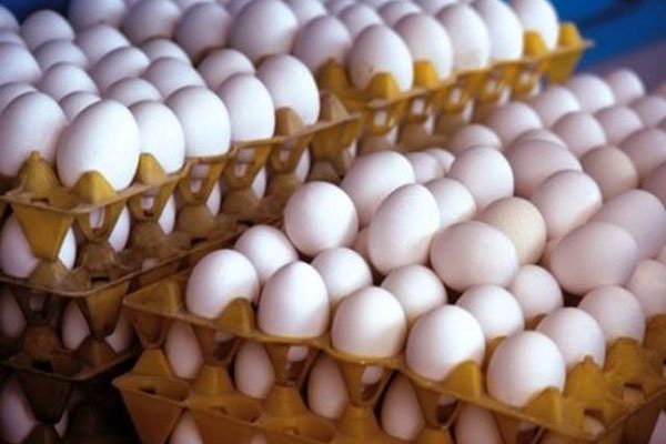 تأمین و توزیع ۱۵۷ تن تخم‌مرغ در استان سمنان