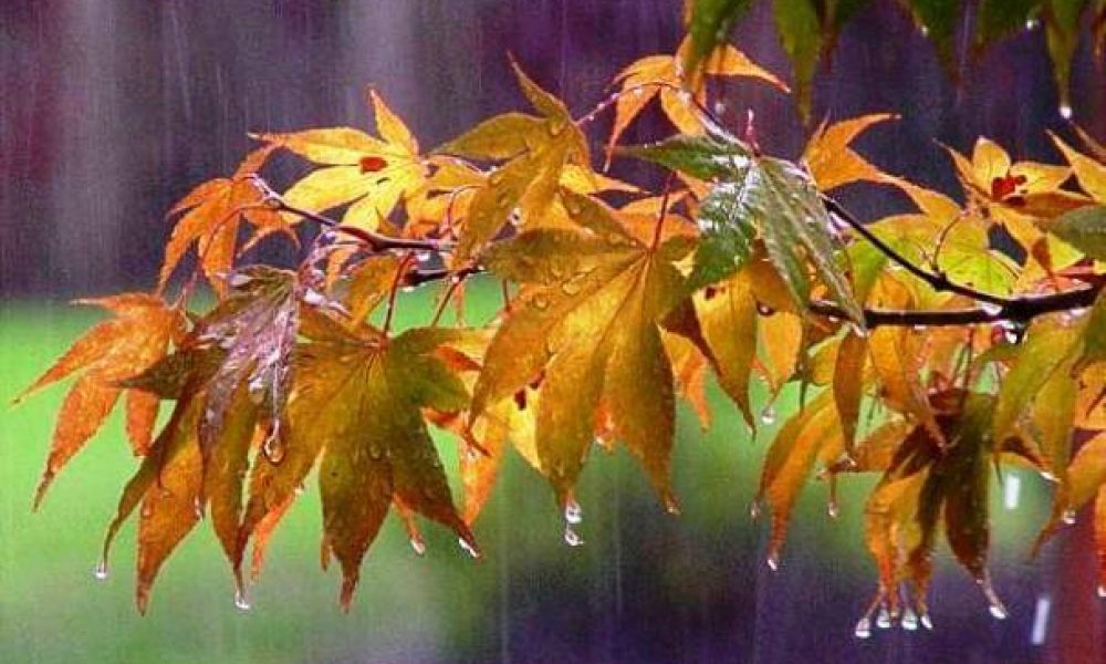ادامه بارش باران و وزش باد پیش بینی هواشناسی برای سمنان