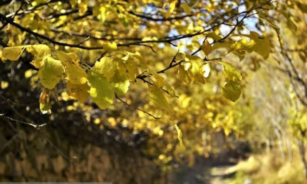 گزارش تصویری از طبیعت پاییزی شهمیرزاد