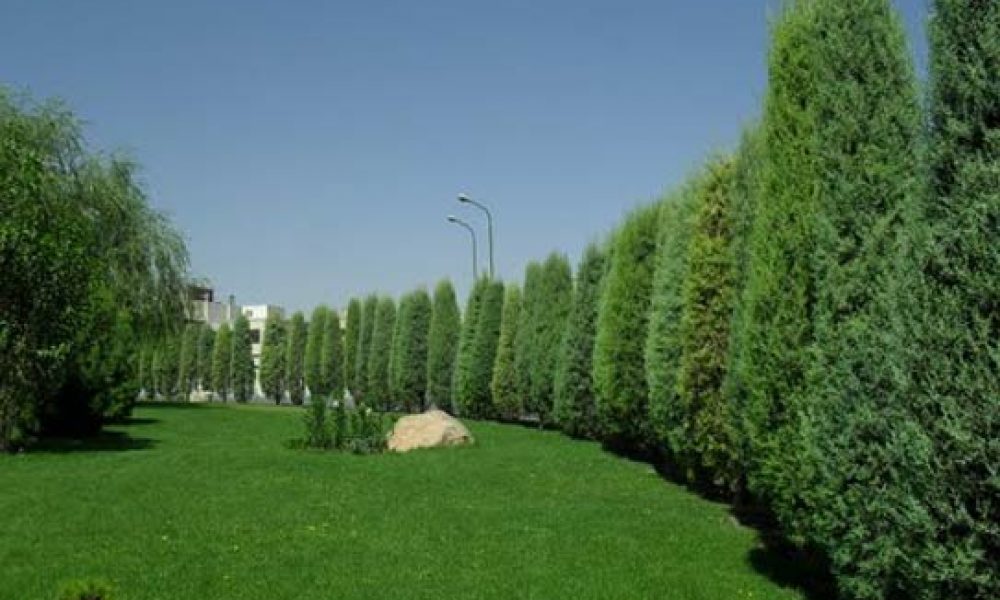 پارک ملل در سمنان ایجاد می‌شود