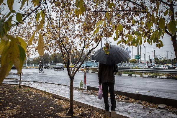 برف و باران در ۸ شهرستان استان سمنان