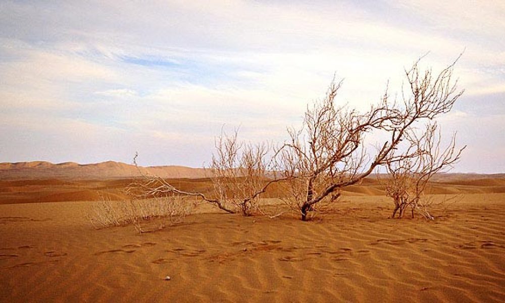 بیش از یک میلیون هکتار از بیابان‌های استان در معرض فرسایش بادی قرار دارند