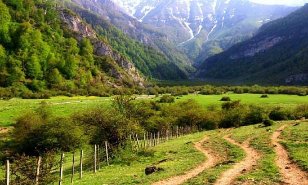 ۱۵ پایگاه امداد جنگل و مرتع در استان سمنان فعال هستند