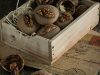 پخت شیرینی های خانگی