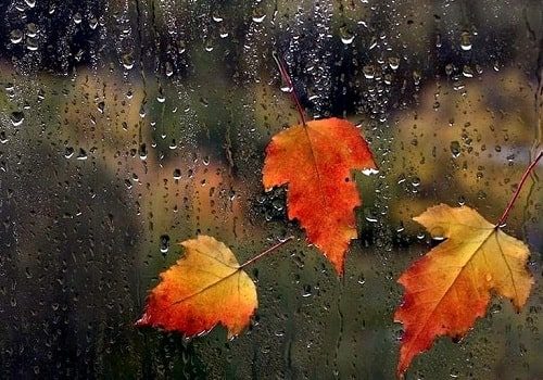 آغاز بارندگی ها در استان سمنان
