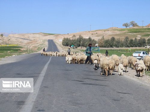 کوچ زودهنگام عشایر به ییلاق های استان سمنان