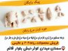 پروتئینی با ارسال رایگان در سمنان