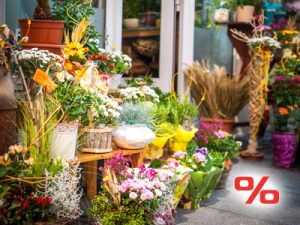 تخفیف گلسرای قاصدک