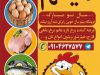 پروتئینی با ارسال رایگان در سمنان