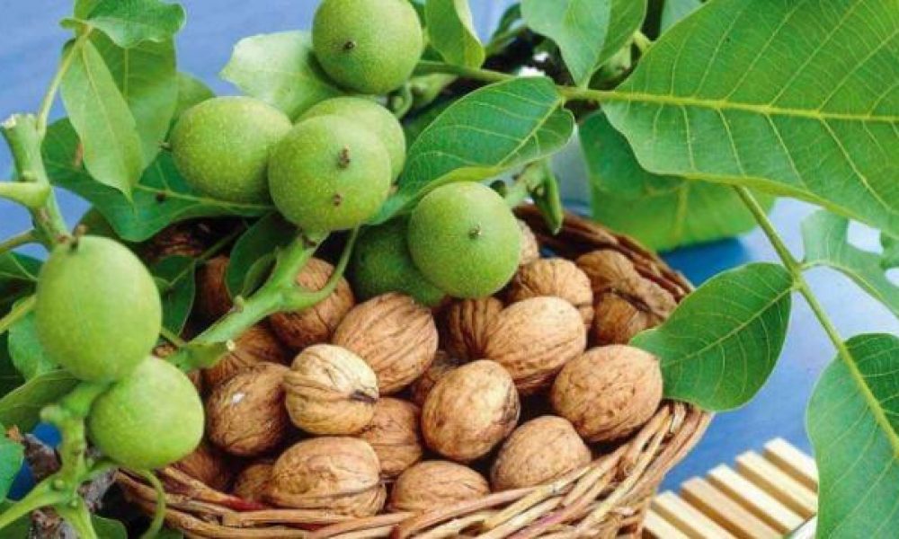 سوغاتی‌های استان سمنان چیست؟