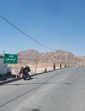پیاده روی و ورزش صبحگاهی