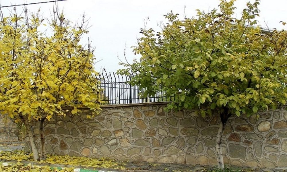 گزارش تصویری از طبیعت پاییزی