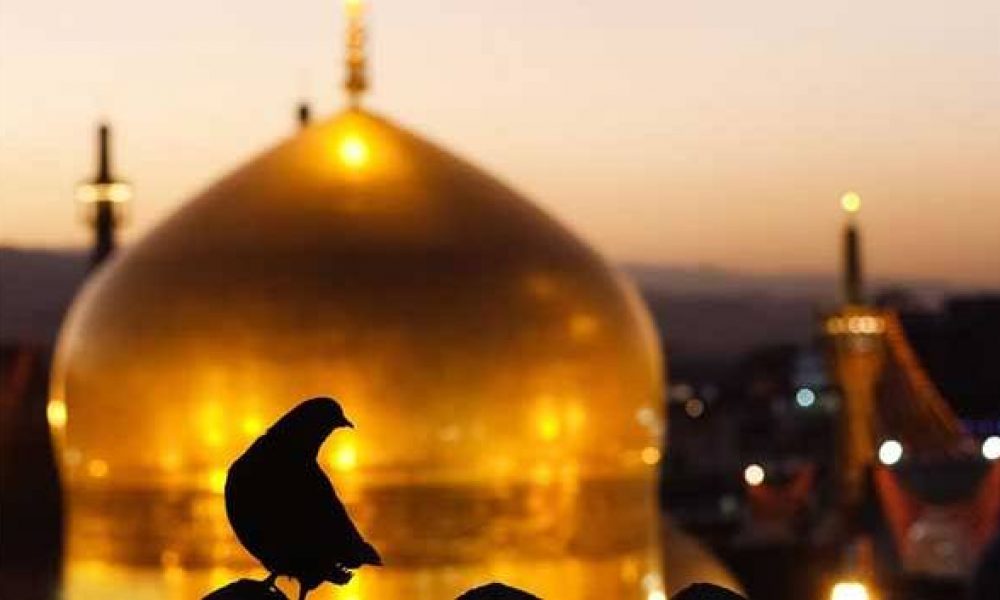 سفر زیارتی جمعی از مردم سمنان به نیابت از حادثه دیدگان قطار به مشهد مقدس