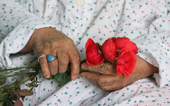 سمنان نهمین استان سالمند کشور است