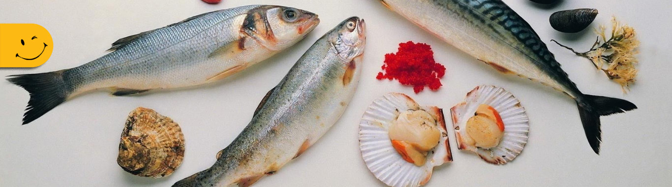 بنر سوپر پروتئین ماهی دریا