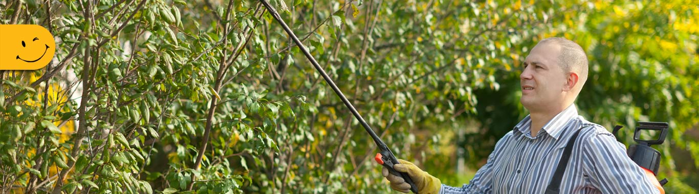 بنر سمپاشی آدینه سمنان